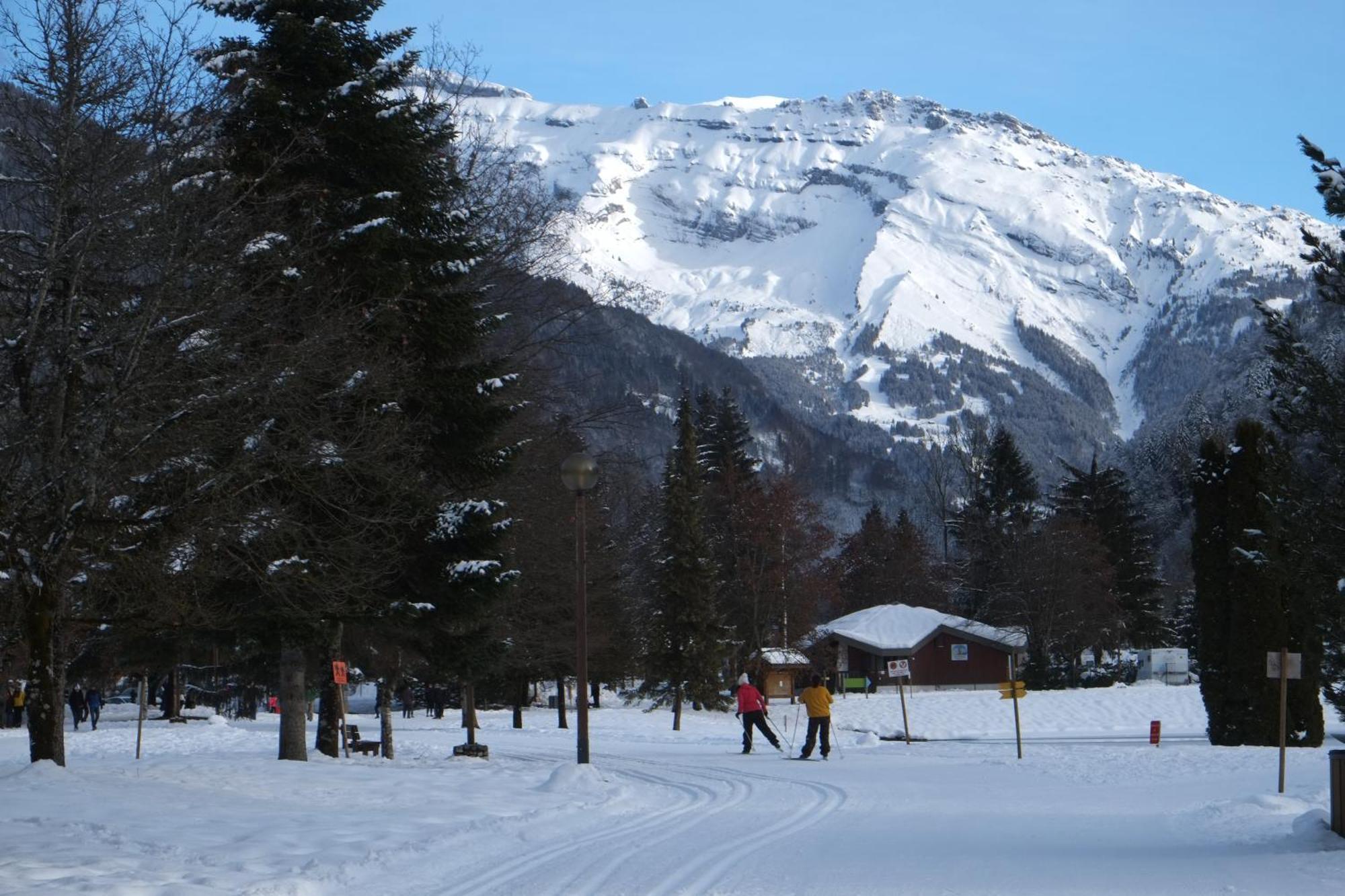 Particulier Loue 2 Appartements Communicants Dans Chalet A Samoens Jusqu A 16 Couchages Samoëns Extérieur photo
